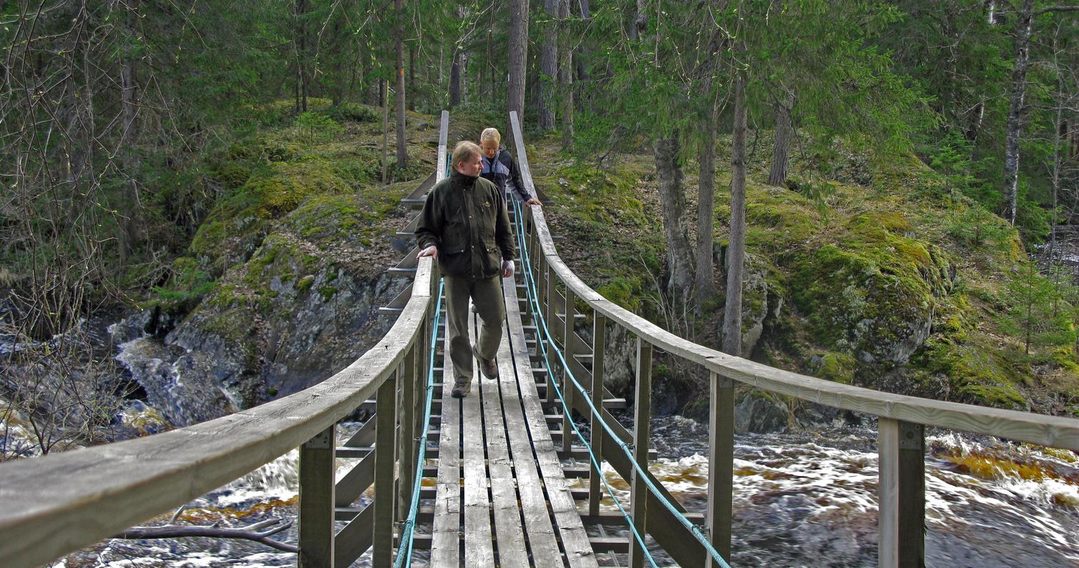 Vekaruksen vanha riippusilta